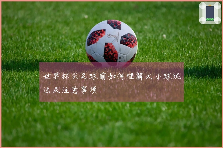 世界杯买足球前如何理解大小球玩法及注意事项