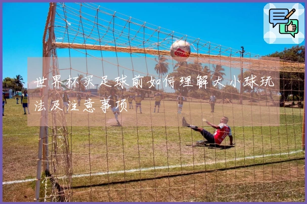 世界杯买足球前如何理解大小球玩法及注意事项
