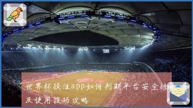 世界杯投注app如何判断平台安全性及使用技巧攻略